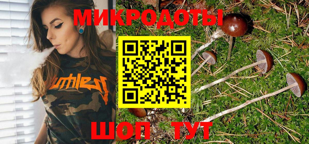 Галлюциногенные грибы прущие грибы Малоярославец