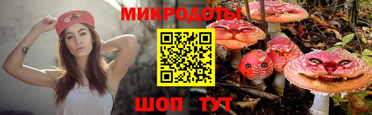 Псилоцибиновые грибы MAGIC MUSHROOMS  Вход с VPN  Малоярославец 